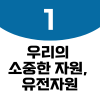 썸네일1