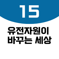 썸네일15